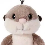 まーちゃんの画像