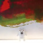アヤムの画像