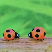 カオル