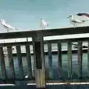 mnkskkの画像