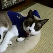 Image of 将まま☆プロフィール必読