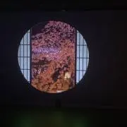 Rの画像
