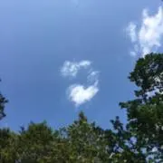 つなの画像