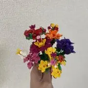 NRの画像