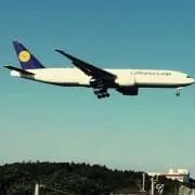 パイナップルの画像