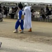 アナルミ