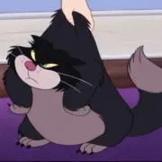 駄猫の画像
