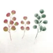 Mocuuの画像
