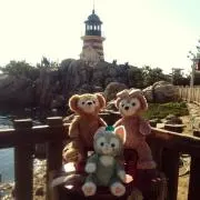トマトの画像