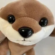 こうすけの画像