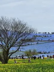 むぅの画像