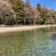 Tomoの画像