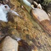 ときの画像