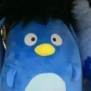 りょう302の画像