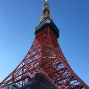 REIKO.iの画像