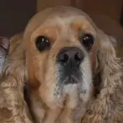 こじこじの画像