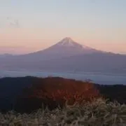 とむちゃみの画像
