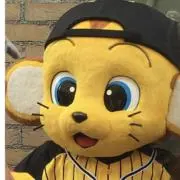 なるシン