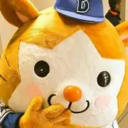 マカロン☆プロフ必読！！