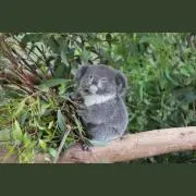 さ※プロフ一読の画像