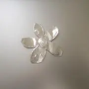 ♬.*゜の画像