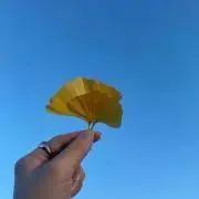ginの画像