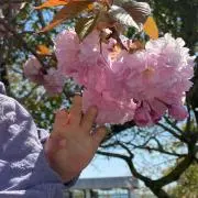 mm【まとめ買い大歓迎】の画像