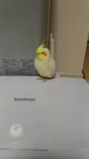 タカさんの画像