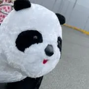 kimamaの画像