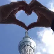 きのこのこ★の画像