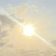 あめこの画像