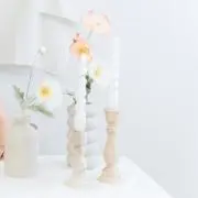 まなの画像