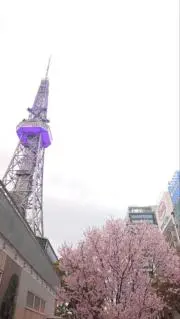 cananaの画像