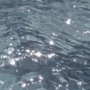 maxelの画像