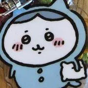 ラッコの画像