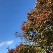 きょうの画像