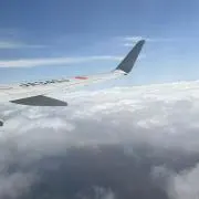 Sakiの画像