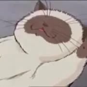 かずちゃんの画像