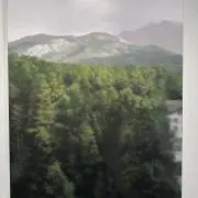 Y3r1g8t0Kの画像
