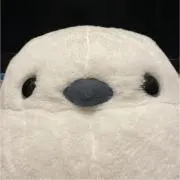 しまえながの画像