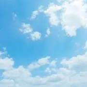 れもんの画像