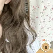 やまの画像