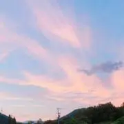 もつこの画像
