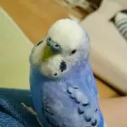 まあちんの画像