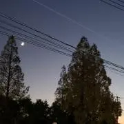 サガミムの画像