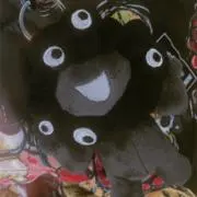 こっとんの画像