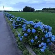 JIROの画像