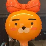 CHOAの画像