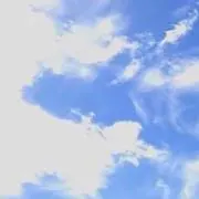 niii・8/15サマーセール中の画像