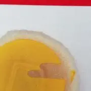 れもんの画像